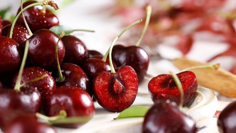 Лечебные свойства вишни – веток, цветов, ягод и даже косточек