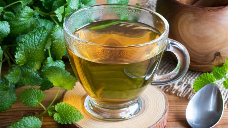 Чай с мелиссой — полезен для нервов и желудка